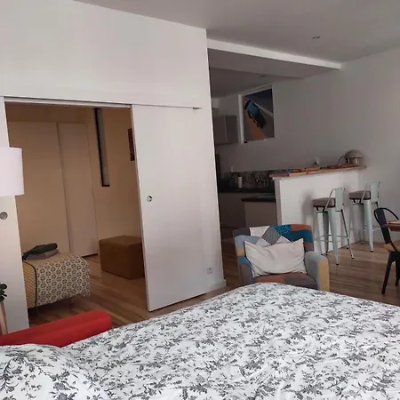 Le Danton Hypercentre Proche Gare Apartment