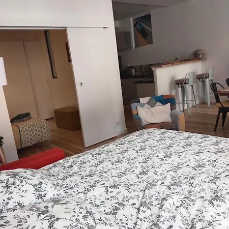 Le Danton Hypercentre Proche Gare Apartment Dijon
