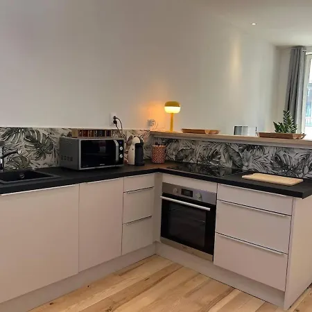 Apartment Le Danton Hypercentre Proche Gare Dijon