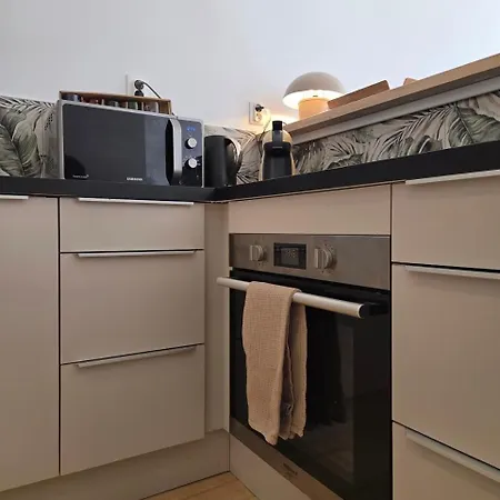 Apartment Le Danton Hypercentre Proche Gare Dijon