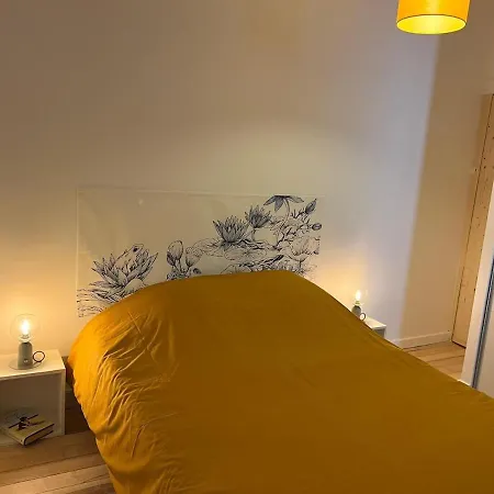 Le Danton Hypercentre Proche Gare Apartment *